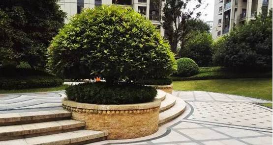 花崗巖石材樹池園藝環境石應用案例欣賞