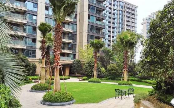 花崗巖石材樹池園藝環境石應用案例欣賞