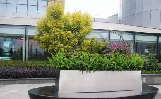 花崗巖石材樹池園藝環境石應用案例欣賞