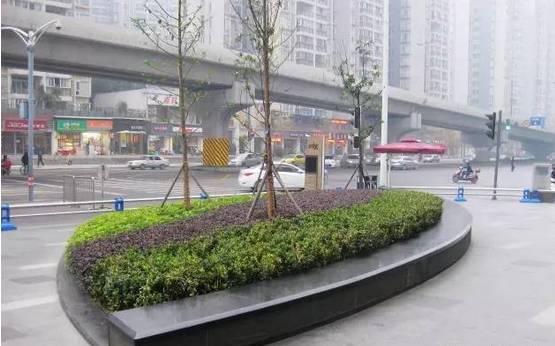 花崗巖石材樹池園藝環境石應用案例欣賞