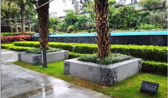 花崗巖石材樹池園藝環境石應用案例欣賞