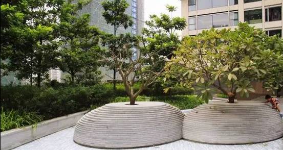 花崗巖石材樹池園藝環境石應用案例欣賞