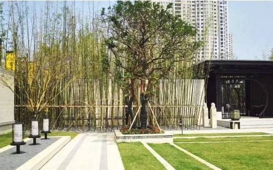 花崗巖石材樹池園藝環境石應用案例欣賞