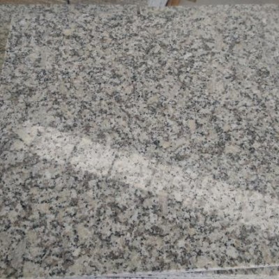 麻城白麻602 芙蓉白