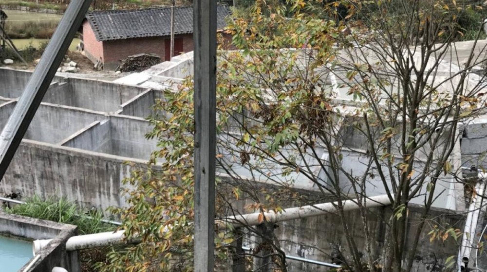 富強石材董事長彭宜斌:“綠色礦山——可持續發展勢在必行”演講紀實