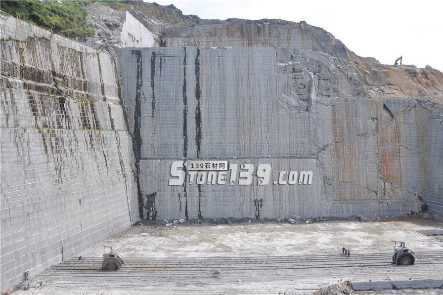 中國小藍寶(屏南654)替代長泰芝麻黑