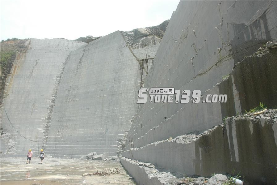 中國小藍寶(屏南654)替代長泰芝麻黑