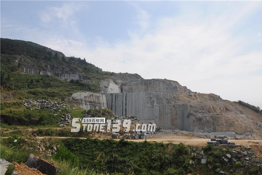 中國小藍寶(屏南654)替代長泰芝麻黑