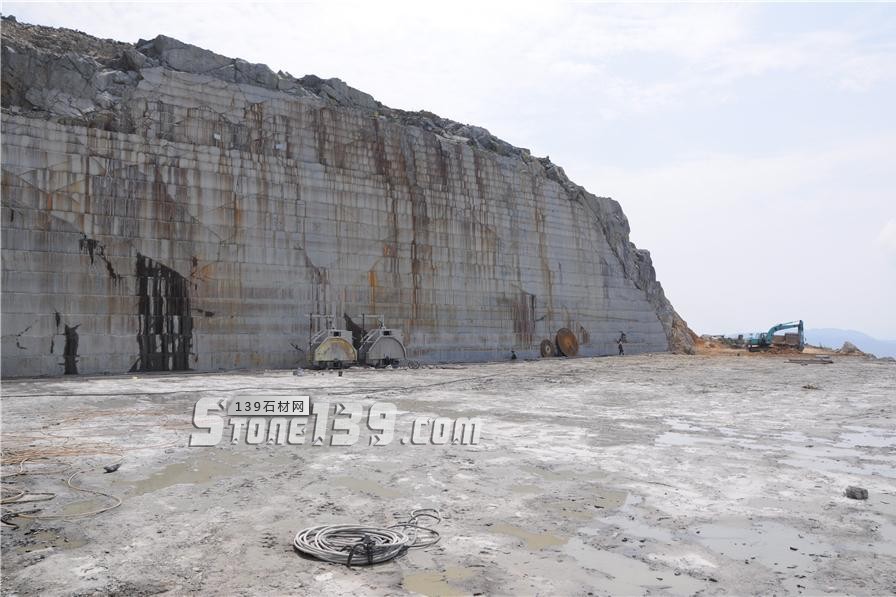 中國小藍寶(屏南654)替代長泰芝麻黑