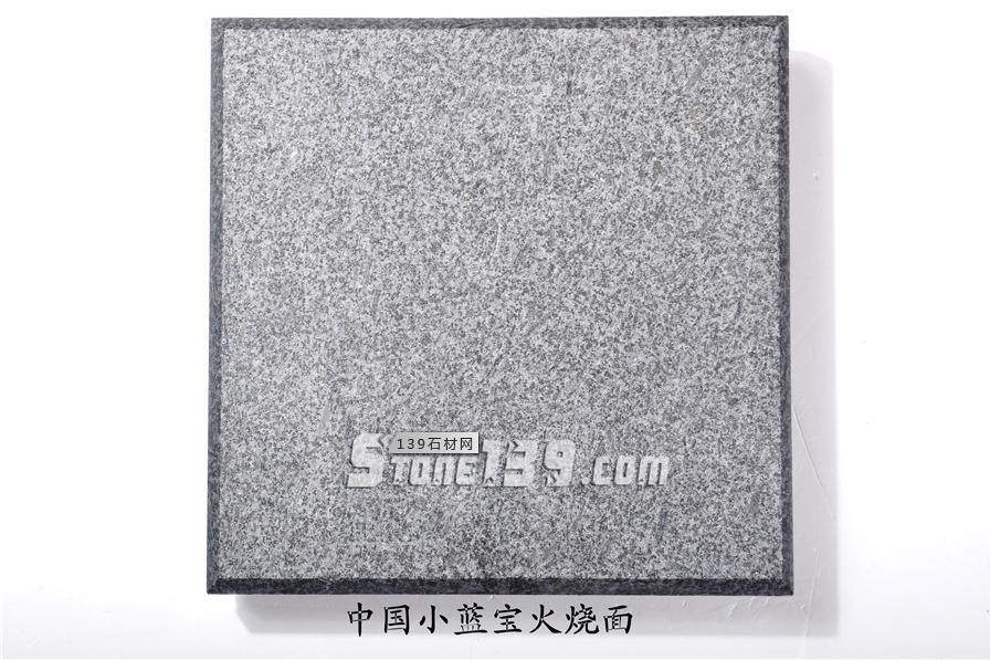 中國小藍寶(屏南654)替代長泰芝麻黑