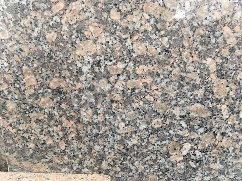 羅馬金鉆花崗巖