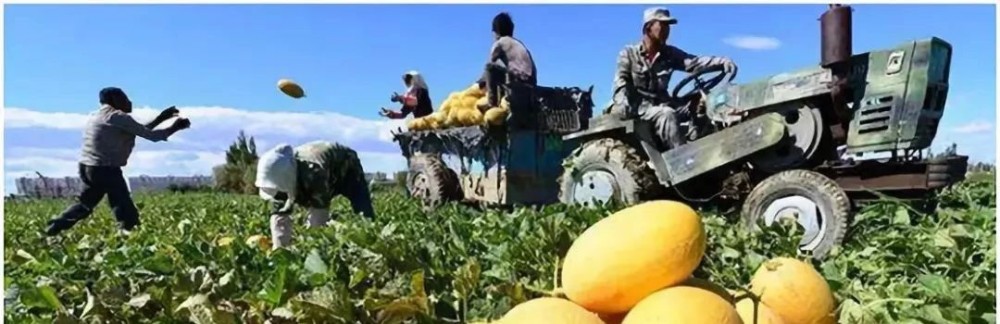 帶你領略大美新疆，附新疆產天然石材品種圖！