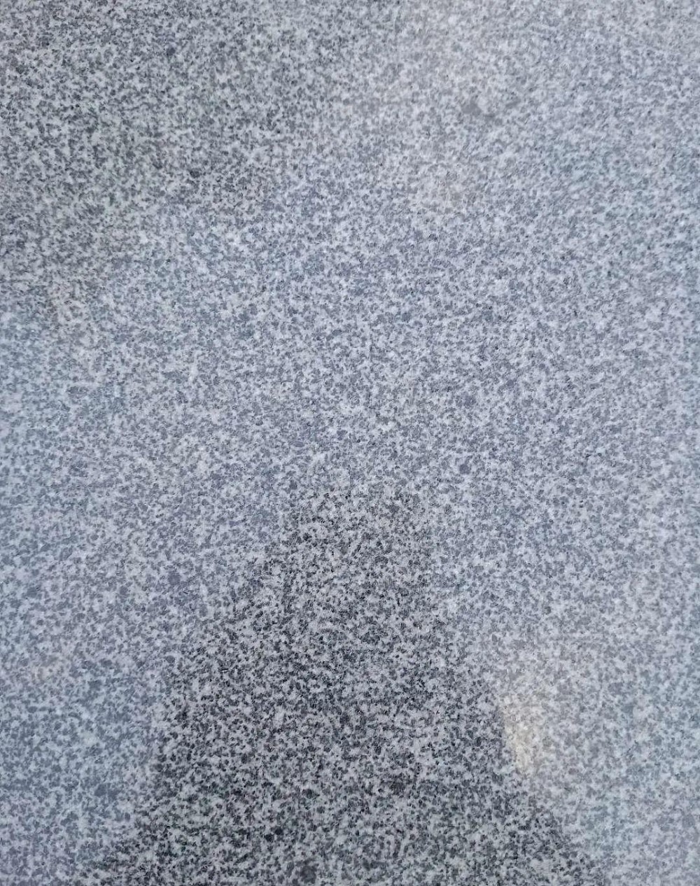 中國芝麻灰國內各省市產地（圖文）匯總，持續更新中