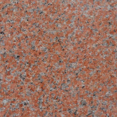 石島紅老8號光面