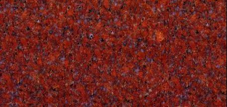 水頭市場“印度紅”遭瘋搶，搶不到也別慌，還有國產印度紅！