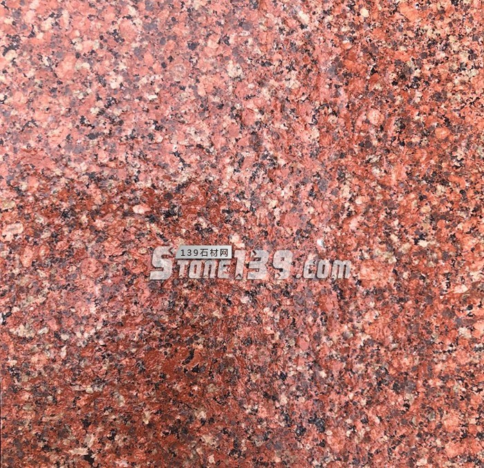 水頭市場“印度紅”遭瘋搶，搶不到也別慌，還有國產印度紅！