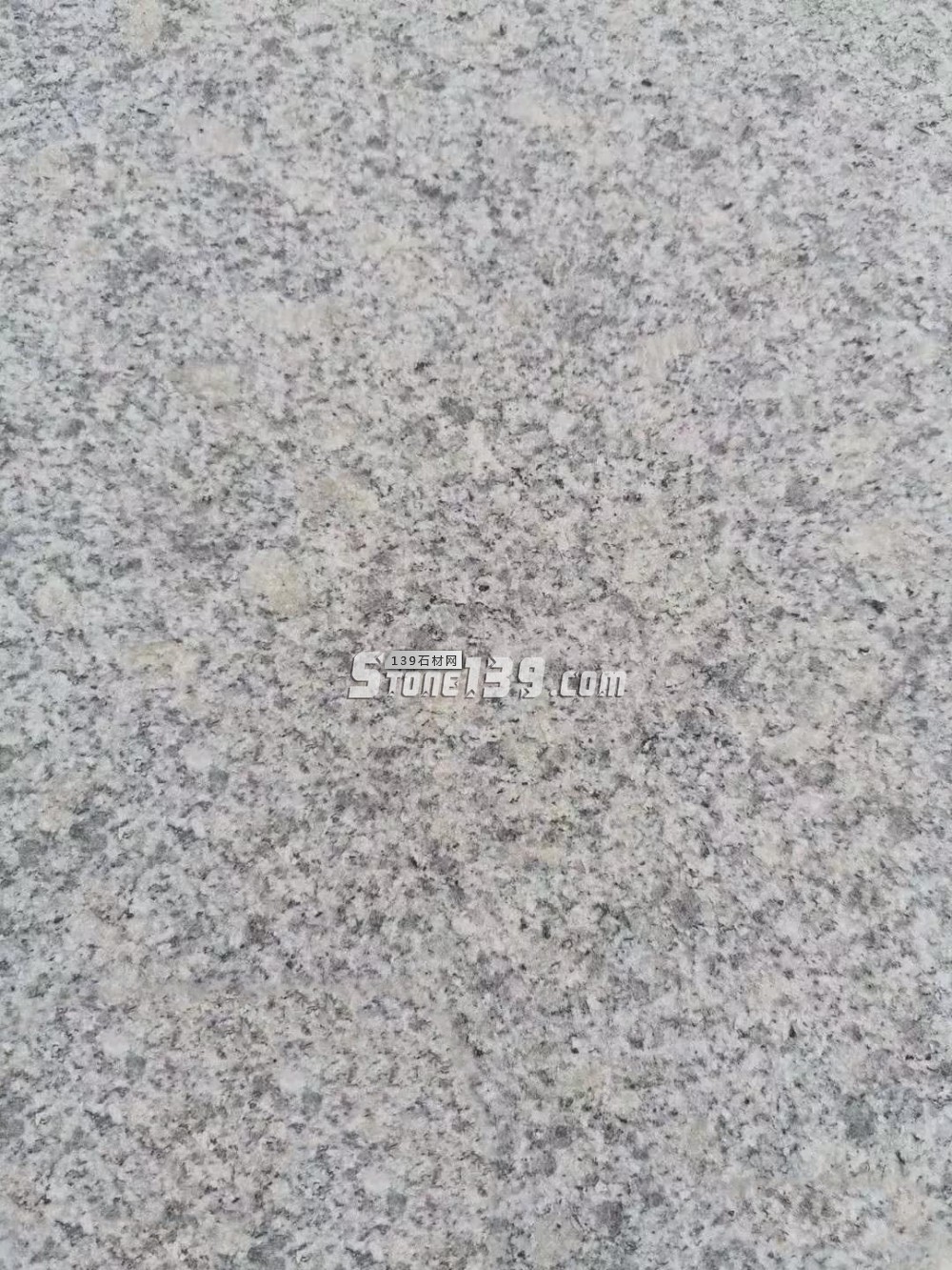 遼寧營口市蓋州芝麻白、芝麻灰、珍珠花產地價格表（指導）！