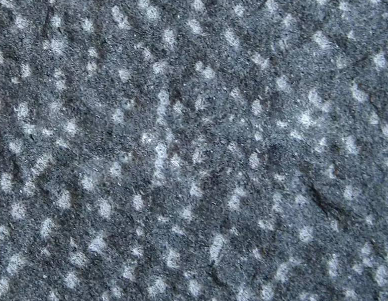 【恒鑨竽杰石材】主營花崗巖江西紅、新老礦芝麻黑654#