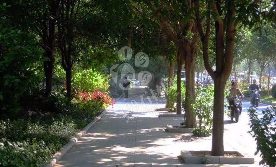 廉江白麻,鋪滿大江南北的花崗石