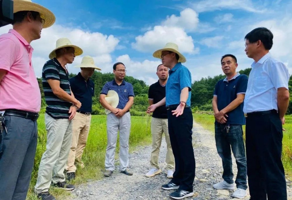 江西省安福縣委書記等領導一行蒞臨方通石業視察指導！附江西吉安新品青石欣賞！ 