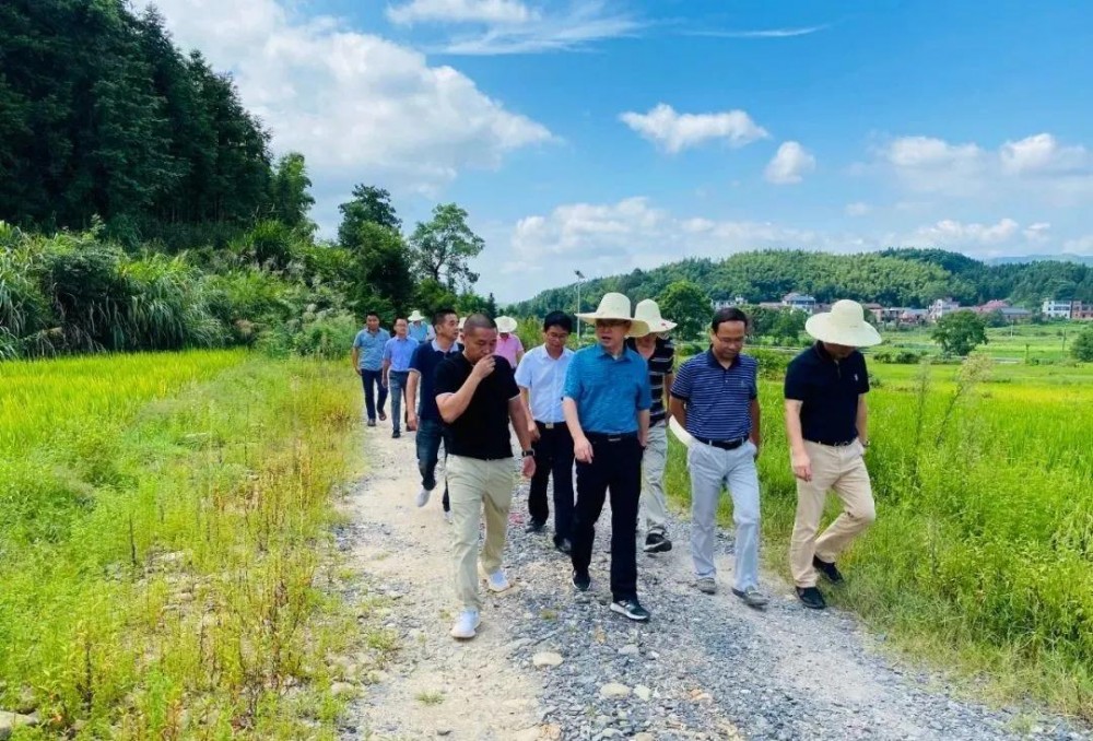 江西省安福縣委書記等領導一行蒞臨方通石業視察指導！附江西吉安新品青石欣賞！ 