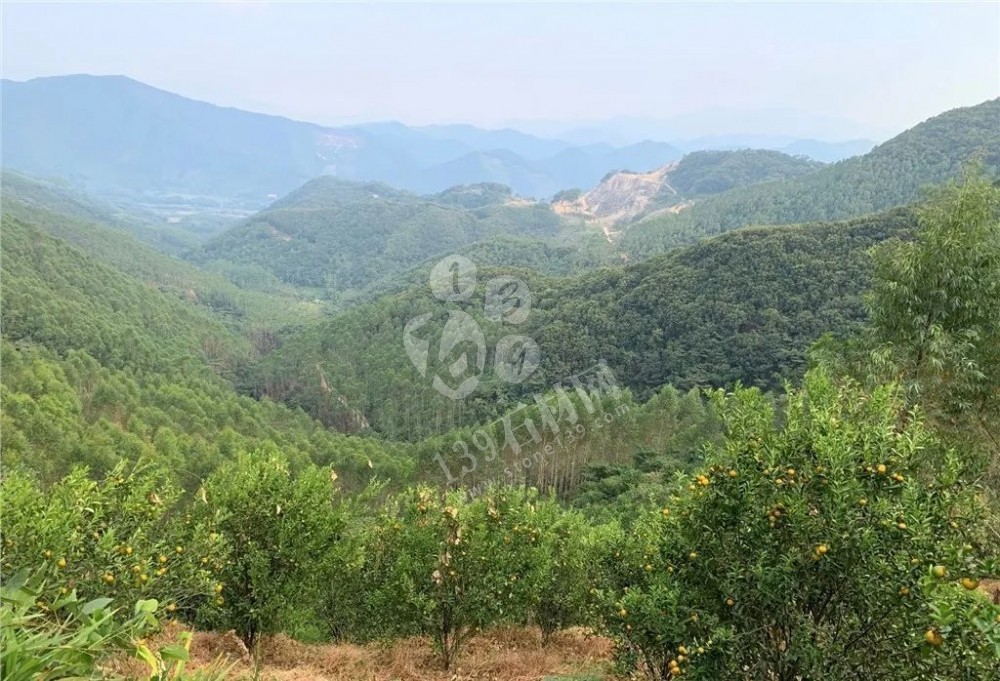 廣東惠州石材新礦起拍價9.6億，儲量1.66億m3！又一超級花崗巖礦權即將問世！