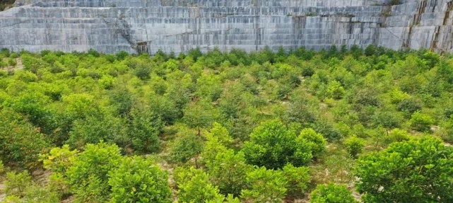 漳浦問題礦山生態圓滿修復,全縣石材企升級27家企業復電復產,獲中國環境報好評