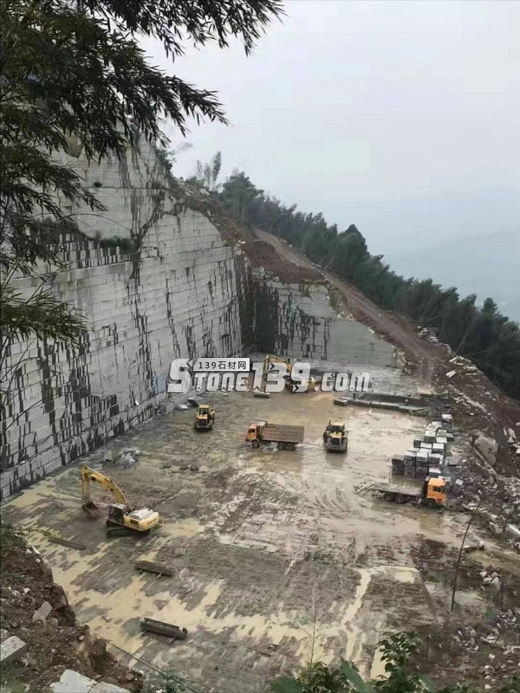 芝麻黑替代品江西金點灰麻(江西654)介紹