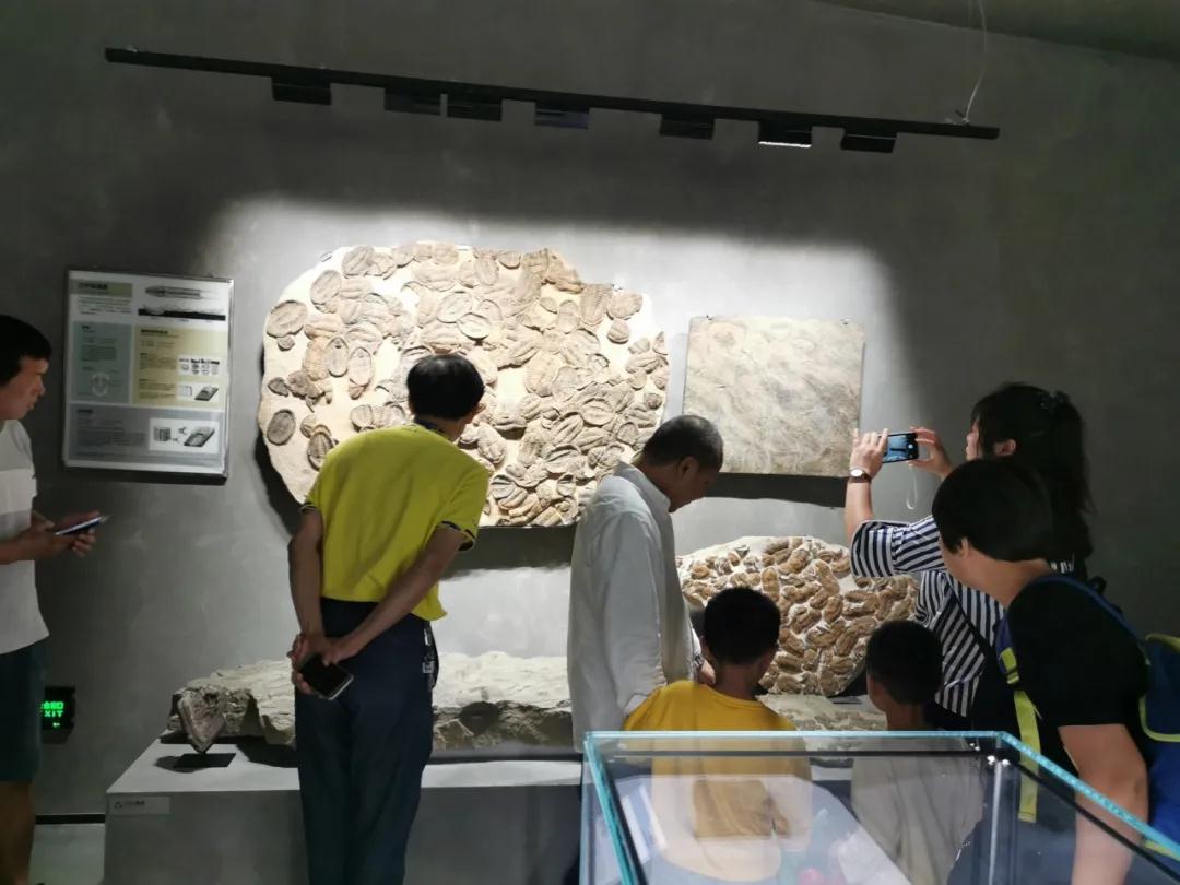 石材文化的分享者|晉江、南安兩地作協主席與作家蒞臨水頭參觀指導