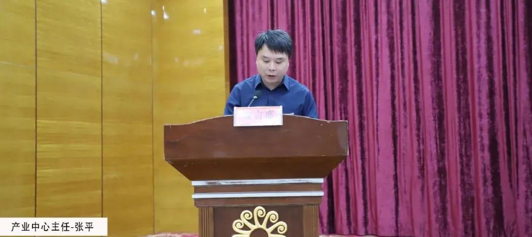 麻城召開石材產(chǎn)業(yè)園提標升級工作會,檢驗升級大行動階段成果