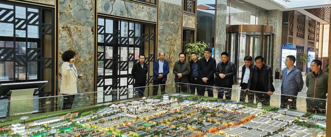 國家自然資源部官員調研麻城市綠色礦業發展示范區建設工作