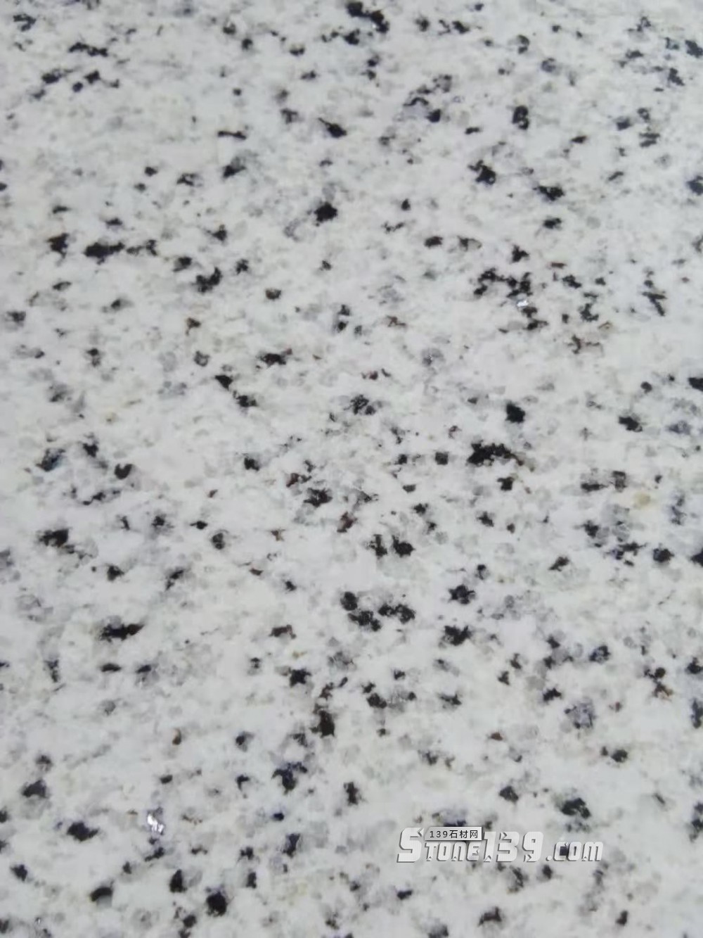 日升礦業白金瑪(蒙古白麻)來自草原大漠的芝麻白花崗巖