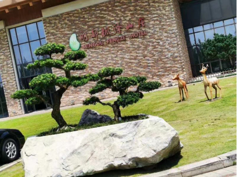 晏輝:用石材做的花盆真的人見人愛,每一款都獨具味道