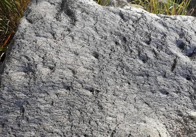 人跡罕至!浙江溫州永嘉這里有條花崗巖石河、平板溪