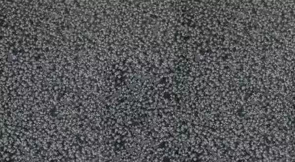 陜西西鄉(xiāng)縣礦產(chǎn)整合年產(chǎn)80萬(wàn)m33月1日起礦權(quán)出讓,附西鄉(xiāng)黑菊花青欣賞!