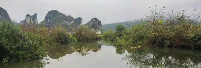 國產灰姑娘大理石產地廣西來賓市興賓區鐵腕治“非法采石” --專項打擊七洞鄉非法采礦工作綜述