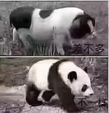 一聽價格,您走了,一看品質,您又心動了!買石材,一分價錢一分貨