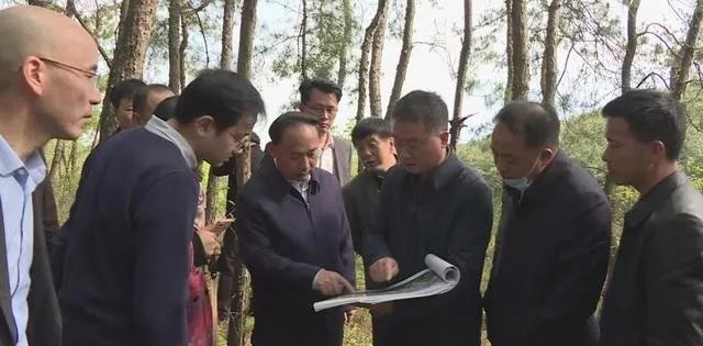 湖北木蘭紅產地大悟縣將建成鄂北規模最大的石材產業園！