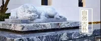 浪淘沙花崗巖（國產三款浪淘沙石材）？