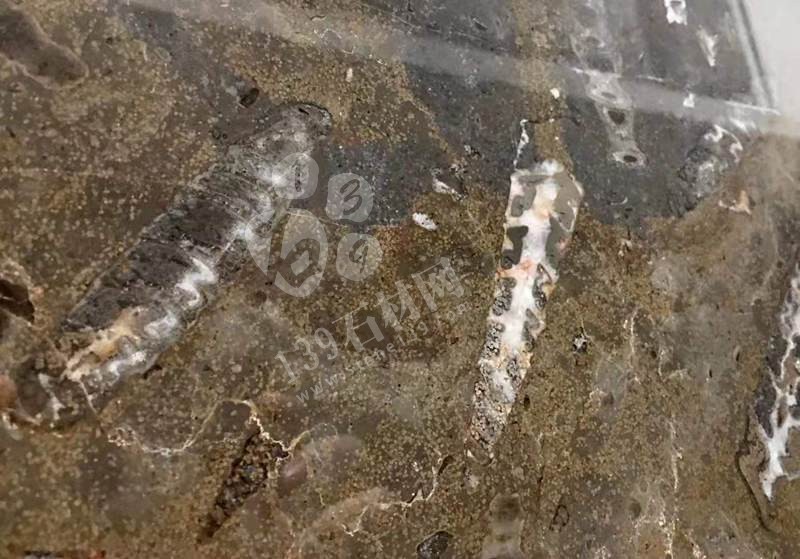 貴陽機場廁所洗手臺化石是哪個石材(海貝花大理石)