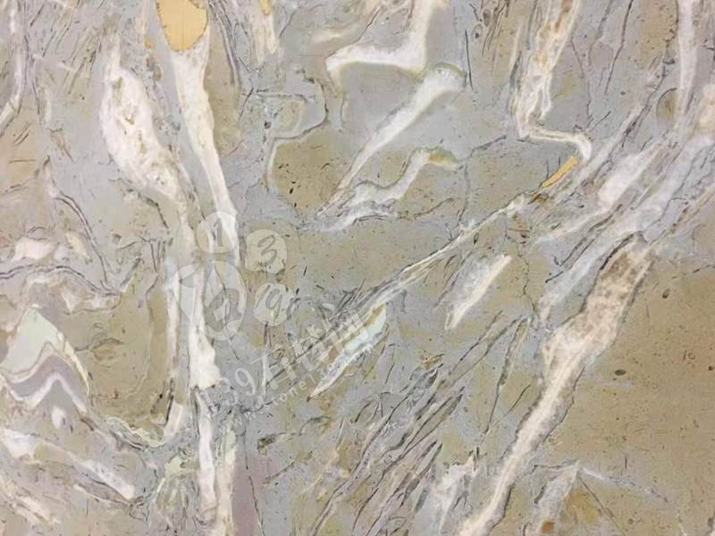 貴陽機場廁所洗手臺化石是哪個石材(海貝花大理石)