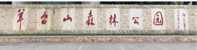 自然面打造石材產品不一樣的效果