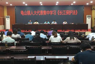 聚焦優化營商環境,助推石材產業發展——麻城龜山鎮人大代表在行動