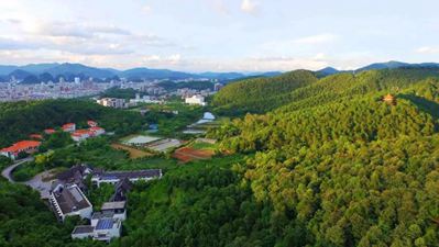 廣東云浮石材400年-:從一塊石頭到“世界石都”的400年歷史