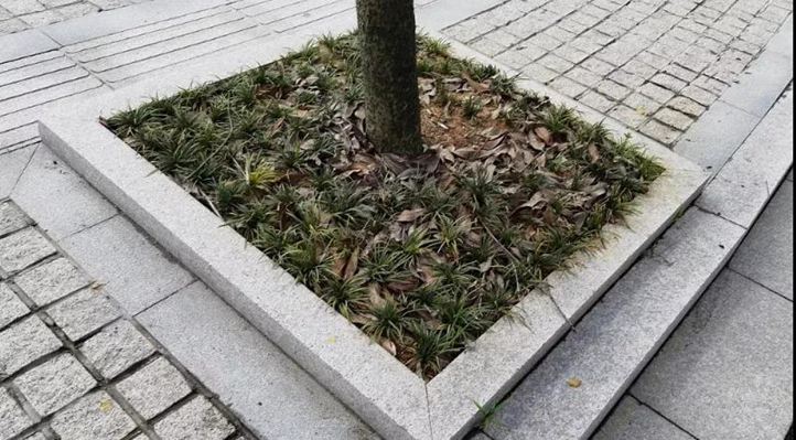 浙江遂昌紅花崗巖礦山及麗水遂昌霞紅（遂昌紅）G3338石材鑒賞！