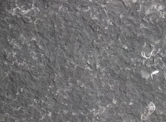 石材新礦!貴州省畢節(jié)市赫章縣夜郎黑(新中國(guó)黑)石材欣賞!