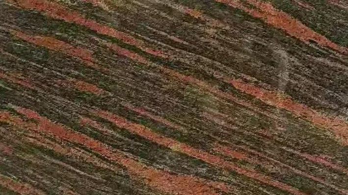 國產進口石材之幻彩紅(加州紅龍)石材欣賞!