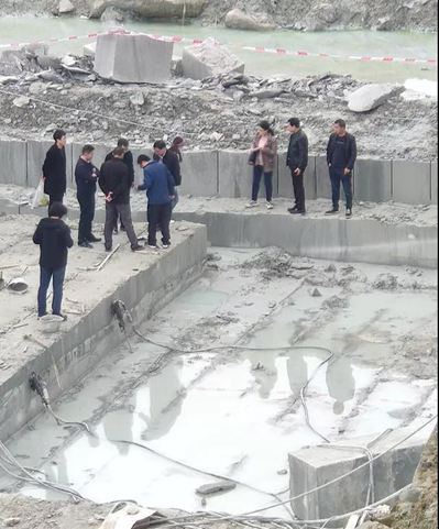 四川隆昌青石礦山挖出古生物化石,專(zhuān)家初步分析為恐龍化石!