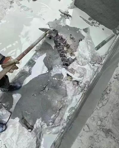 四川隆昌青石礦山挖出古生物化石,專(zhuān)家初步分析為恐龍化石!