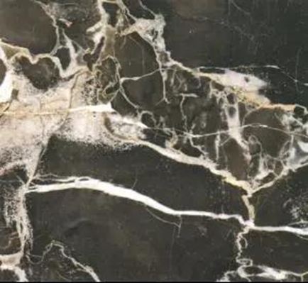 黑金花大理石-關鍵詞:富麗堂皇、華麗高貴、黑色奢華